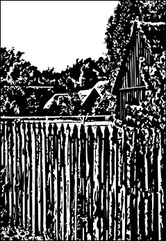 Kampinos - grafizacja