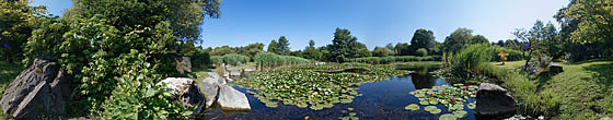 Panorama 25