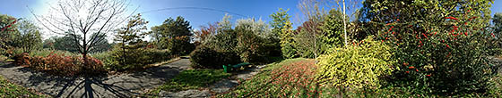 Panorama 66